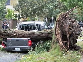 A fallen tree lies on a crushed pickup truck following the passing of Hurricane Fiona, later downgraded to a post-tropical storm, in Halifax, Nova Scotia, on Sept. 24, 2022.