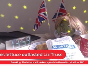 Britain's Daily Star livestreamed a head of lettuce and asked the question: "Which wet lettuce will last longer?"