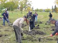 Volunteers take part in a tree-planting in memory of the victims of Flight PS752 at Scurfield Park in Whyte Ridge in Winnipeg on Saturday, Oct. 1, 2022. PS752 was shot down by missiles only minutes after takeoff from Tehran's IKA airport, killing all 176 passengers and crew on board including 63 Canadians.