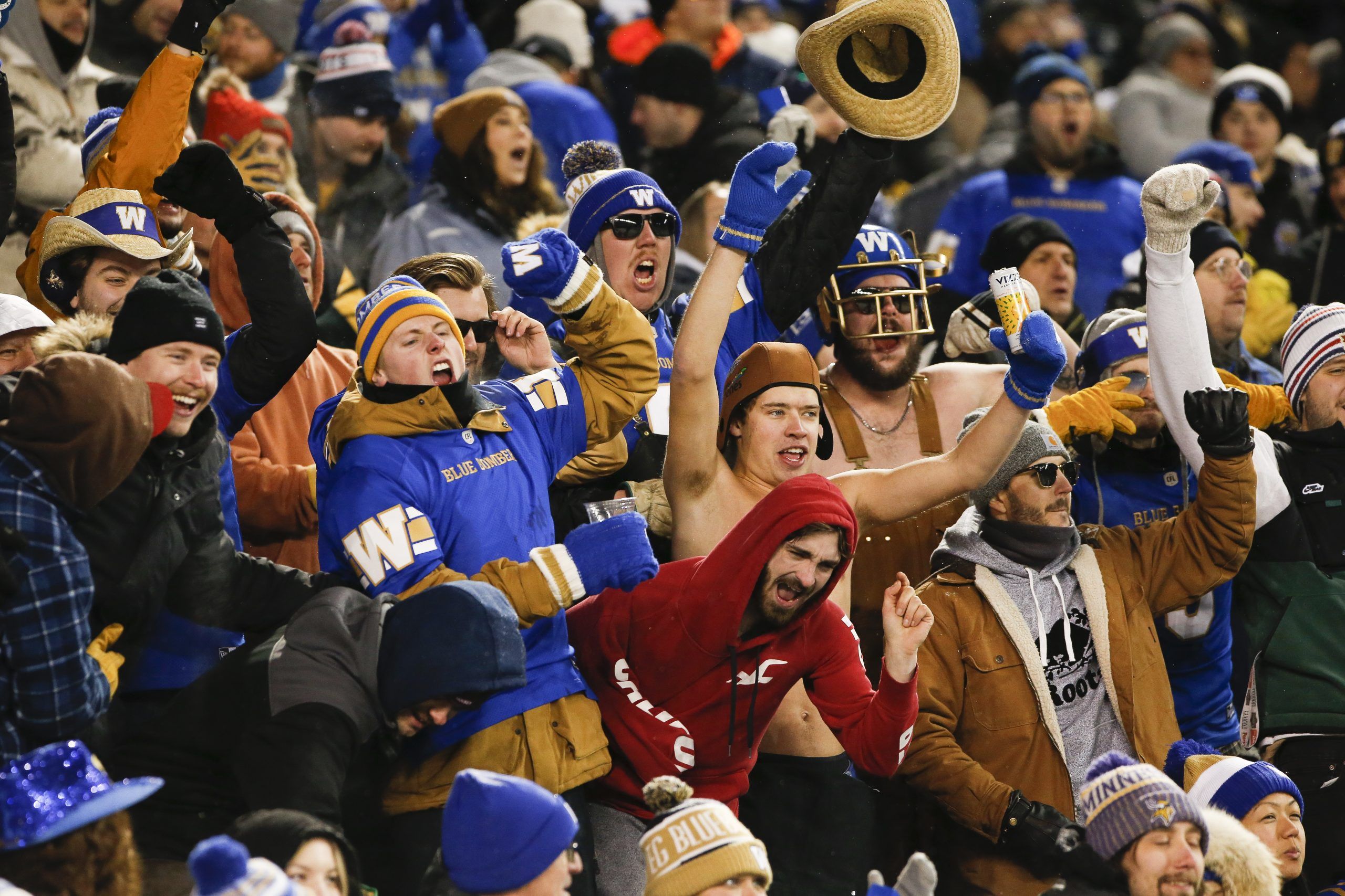 Blue Bombers win CFL West final by beating B.C. Lions 28-20 - Revelstoke  Review