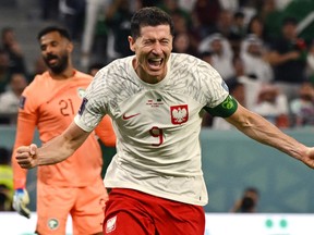 Poland's Robert Lewandowski celebrates after scoring at the World Cup.