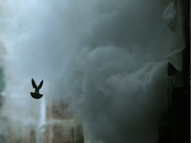 A bird is silhouetted against the exhaust from a high rise building in Winnipeg on Wednesday. Jan. 5. 2022.