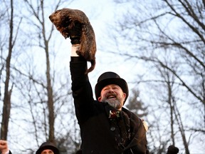 AJ Dereume holds up Phil the groundhog as he is to make his prediction on how long winter will last during the Groundhog Day Festivities, at Gobblers Knob in Punxsutawney, Pennsylvania, U.S., February 2, 2023. REUTERS/Alan Freed     TPX IMAGES OF THE DAY