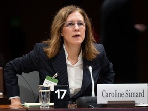 Commissioner of Canada Elections told the Standing Committee on Procedure and House Affairs on Parliament Hill that she has opened new investigations into alleged foreign interference.