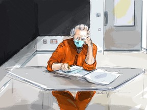 Former fashion mogul Peter Nygard is shown in this courtroom sketch in Toronto on Wednesday, Jan. 19, 2022. Nygard's lawyers are appealing a United States extradition order that would require the 81-year-old be sent south of the border once his Canadian court cases are settled.