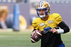 Winnipeg Blue Bombers quarterback Dru Brown loves studying the game of football and is relishing his role as the backup to Zach Collaros.