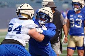 Winnipeg Blue Bombers defensive tackle Ricky Walker works against offensive lineman Liam Dobson during a training camp session at IG Field this week.