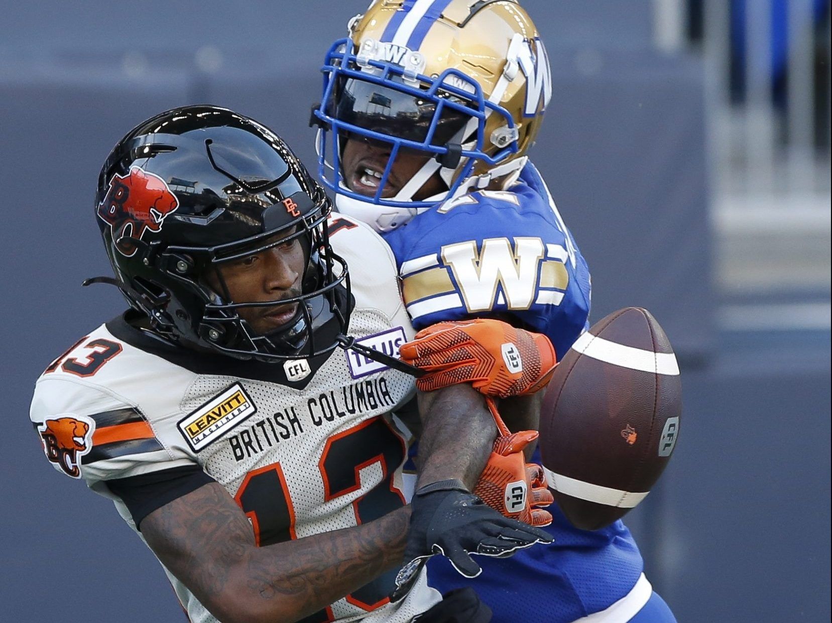 CFL playoff picture anything but clear – Winnipeg Free Press