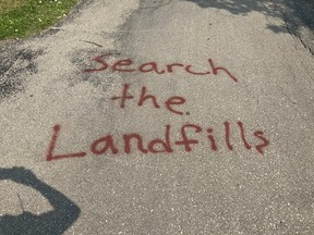 Winnipeg police is seeking more information after graffiti was found on the half-marathon route for the World Police and Fire Games in St. Vital Park.