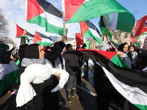 Palestinians protest