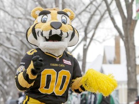 Hamilton Tiger-Cats mascot Pigskin Pete