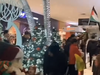 Protesters surround the Santa Claus booth while children have their photos taken at Bayshore mall in Ottawa.