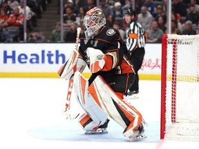 Lukas Dostal of the Anaheim Ducks tends goal during the third period of a game against the Toronto Maple Leafs.