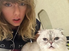 Taylor Swift with her cat Olivia in this undated Instagram post.