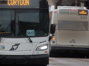 Winnipeg Transit buses