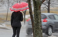 A person with an umbrella walks in the rain