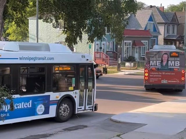 HAL’S HEADLINES: Fixing Winnipeg’s transit woes