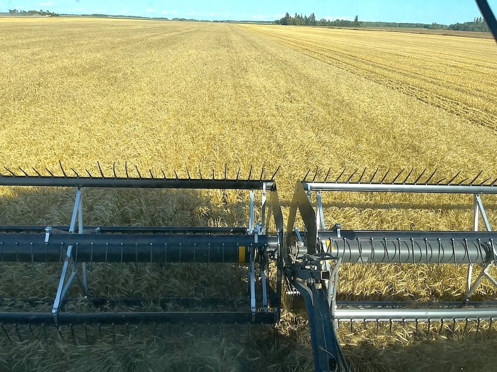 SIEMENS SAYS: Manitoba farmers face mixed conditions and market uncertainty