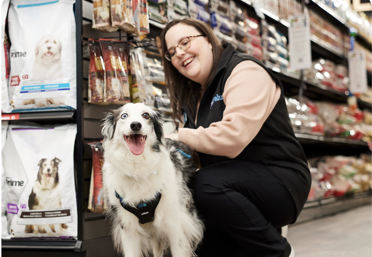 DoorDash adds Pet Valu, MINISO and Mastermind Toys for the holidays